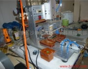 探索科技之美 深圳市宝安区沙井宏鑫泰电子科技经营部LCD液晶模块组装机相册揭秘